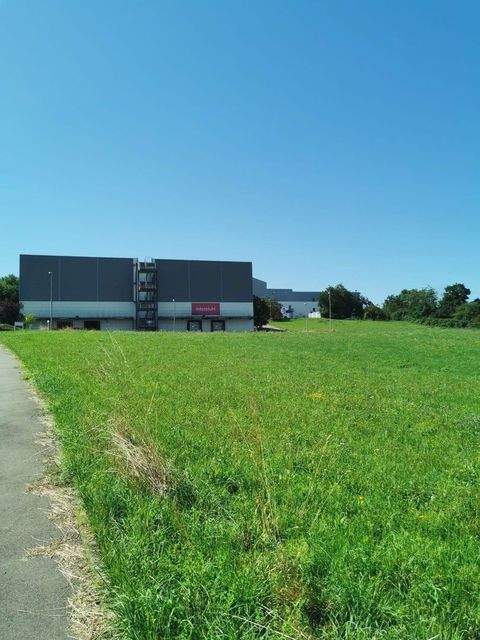 Mössingen Halle, Mössingen Hallenfläche