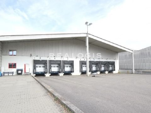 Ransbach-Baumbach Halle, Ransbach-Baumbach Hallenfläche