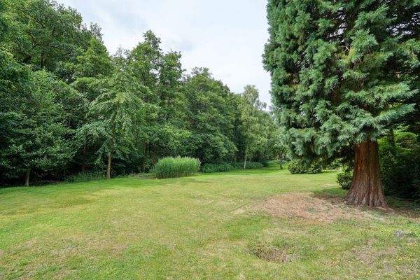 Teilansicht Grundstück