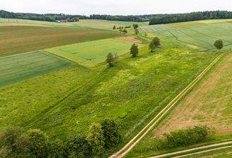 Wildacker Flurstück Nr. 177