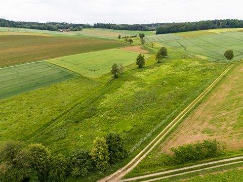 Schierling Bauernhöfe, Landwirtschaft, Schierling Forstwirtschaft