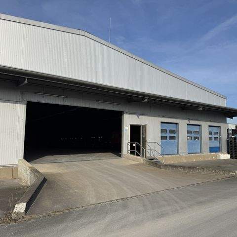 Nürnberg Halle, Nürnberg Hallenfläche