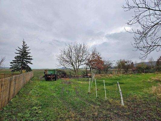 d1781e89-5ba5-4fcb-83a4-896032940e70-1952243560