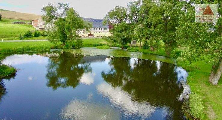 Blick über den Dorfteich zum Haus