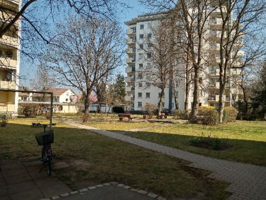 gemeinschaftlicher Garten mit Spielplatz