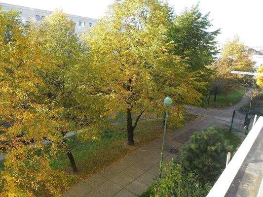 Aussicht im Sommer.JPG