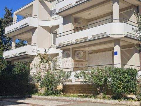 Novalja Wohnungen, Novalja Wohnung kaufen