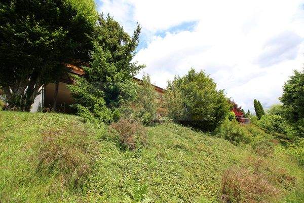 Garten / Hanglage / Ansicht