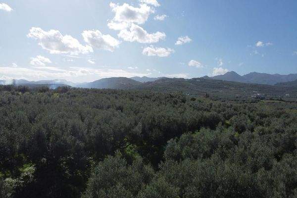 Kreta - Kaloudiana: Schönes Grundstück mit Berg- und Meerblick