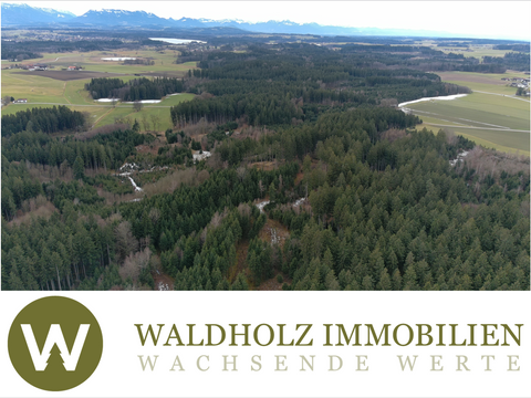 Pittenhart Bauernhöfe, Landwirtschaft, Pittenhart Forstwirtschaft