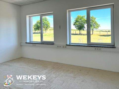 Ollendorf Halle, Ollendorf Hallenfläche