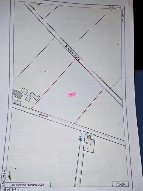 Drebber Bauernhöfe, Landwirtschaft, Drebber Forstwirtschaft