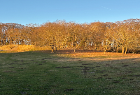 Göhren Grundstücke, Göhren Grundstück kaufen