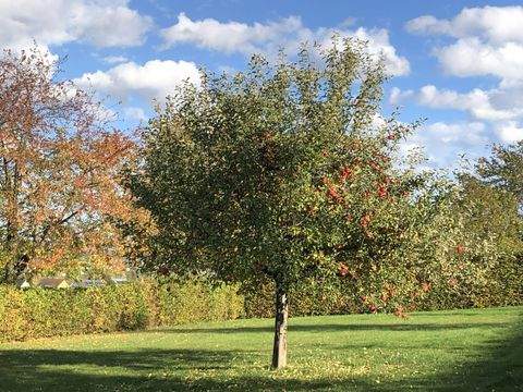 Klipphausen Grundstücke, Klipphausen Grundstück kaufen