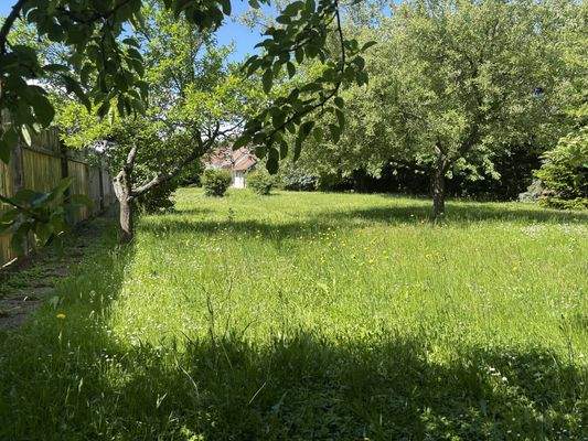 Bild 20