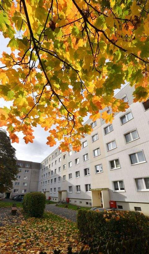 Lugau Wohnungen, Lugau Wohnung mieten