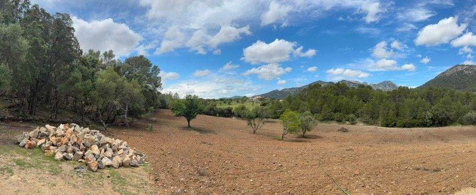 PHOTO-2025-05-10-13-31-12