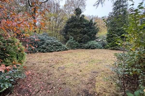 Blick in den Garten und anschließenden Wald