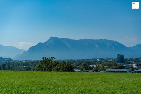 Bergheim Wohnungen, Bergheim Wohnung kaufen