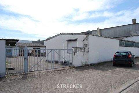 Karlsruhe Halle, Karlsruhe Hallenfläche