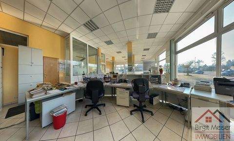 Wittenburg Halle, Wittenburg Hallenfläche