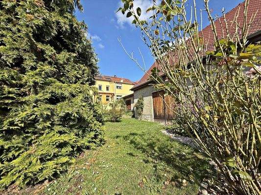 Blick aus hinteren Gartenbereich