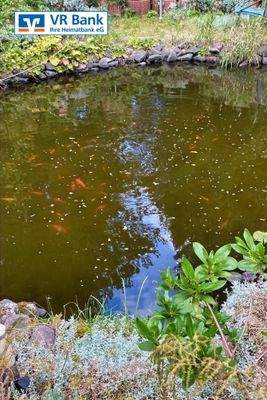 Fischteich im Park I