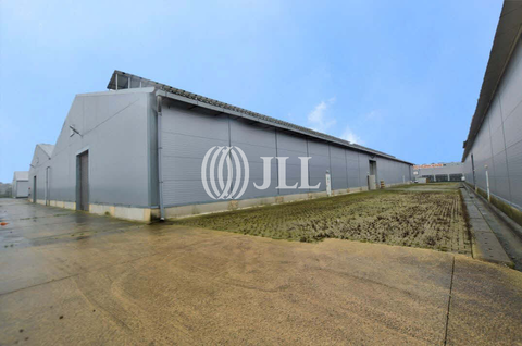 Selfkant Halle, Selfkant Hallenfläche