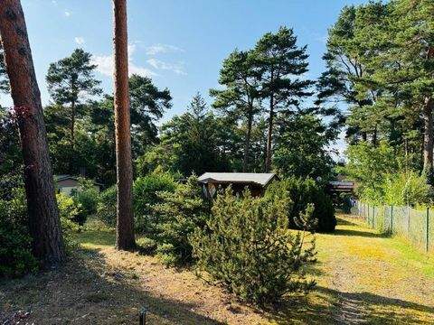 Bestensee / Pätz Grundstücke, Bestensee / Pätz Grundstück kaufen