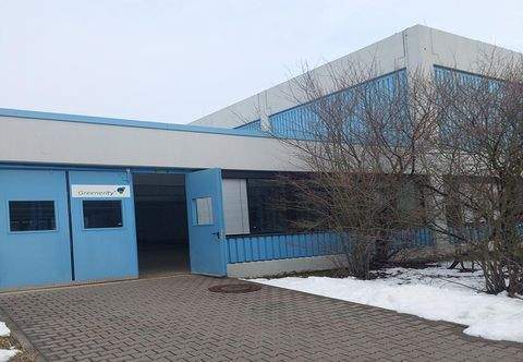 Alzenau Halle, Alzenau Hallenfläche