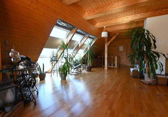 neue Dachflächenfenster