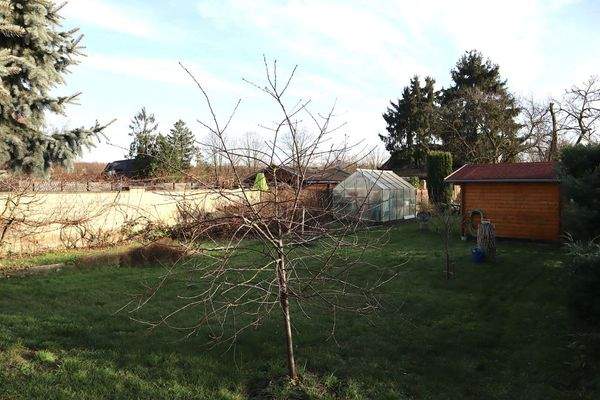 Blick vom hinteren Garten aus