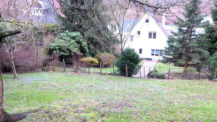 Blick aus dem Garten zum Haus