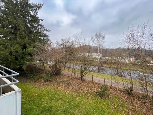 Blick auf Wiese