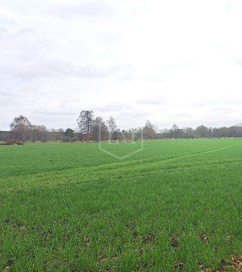 Steinhagen Bauernhöfe, Landwirtschaft, Steinhagen Forstwirtschaft