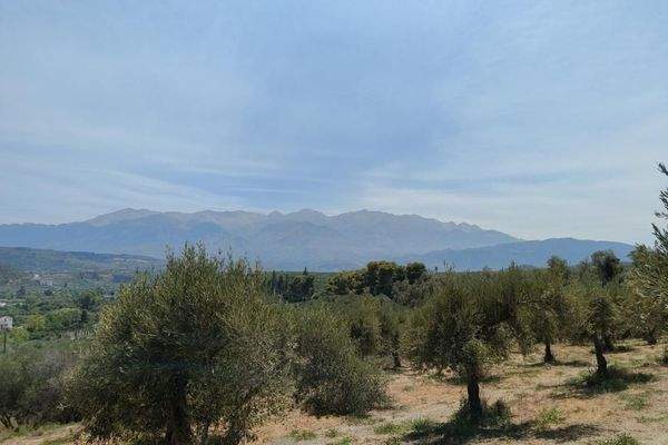 Kreta, Kalyves: Weitläufiges Grundstück mit Meerblick zu verkaufen