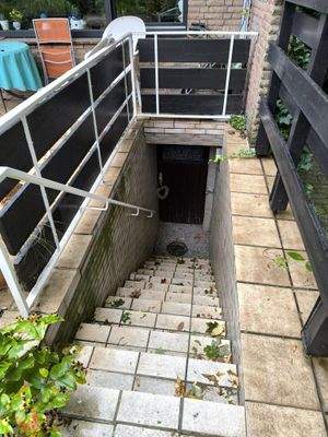 Kellerabgang im Garten
