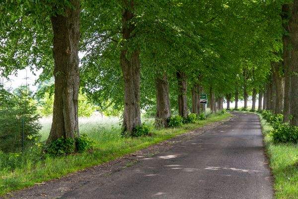 Truemper-Immobilien-Polnische Ostsee-Niezyn-Grundstück00011