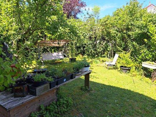 Garten Eingangsbereich.jpg