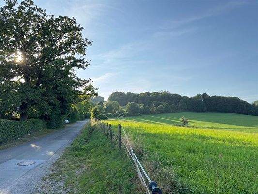 die Natur direkt vor der Tür
