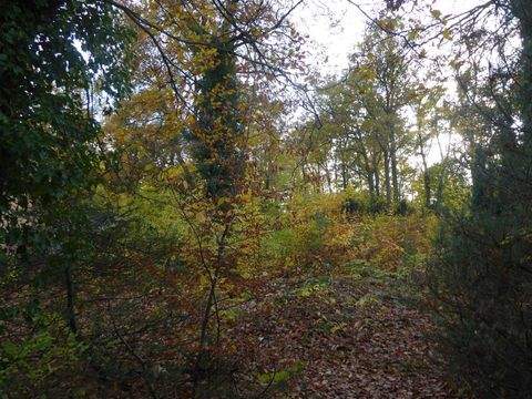 Schönwalde-Glien Grundstücke, Schönwalde-Glien Grundstück kaufen