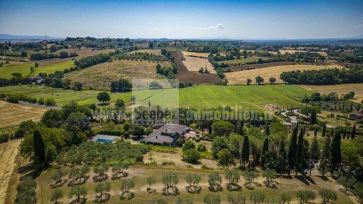 Villa-Toscana-casa-vacanza-appartamento-sogno-olivi-vini-Firenze-Siena-Assisi-pace-silenzio-casa-unifamiliare