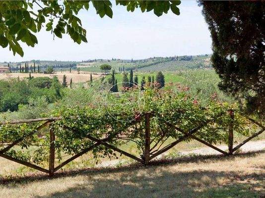 Grundbesitz | Castellina in Chianti