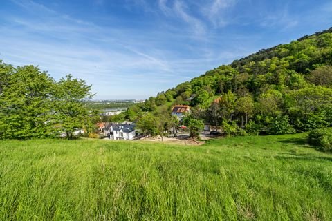 Klosterneuburg Bauernhöfe, Landwirtschaft, Klosterneuburg Forstwirtschaft