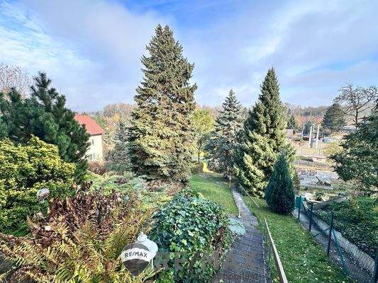 06_Grüner Ausblick in den Garten