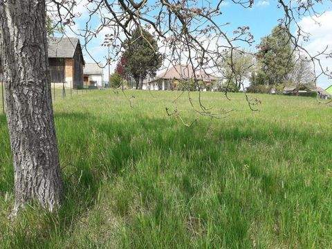 Neuhaus in der Wart Grundstücke, Neuhaus in der Wart Grundstück kaufen