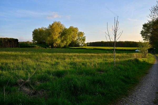 Das Areal der 4 Baugrundstücke