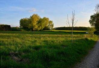 Das Areal der 4 Baugrundstücke