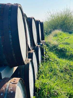 Zur Strandburg Alt Reddevitz.jpeg