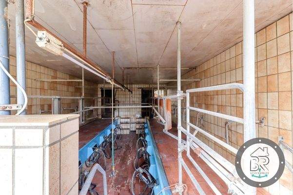 Melkstand (ohne Zubehör)